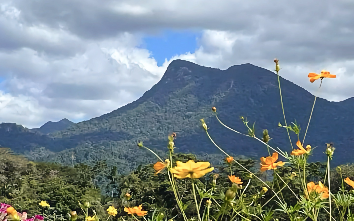 View of ManjalDimbi Mountain on Kubirriwarra Estate